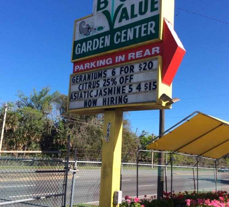 Big Value Garden Center: Where Daytona’s Garden Dreams Come Alive