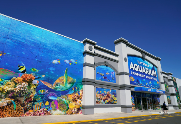 Exploring the Wilderness: Highlights of Daytona Aquarium and Rainforest Adventure