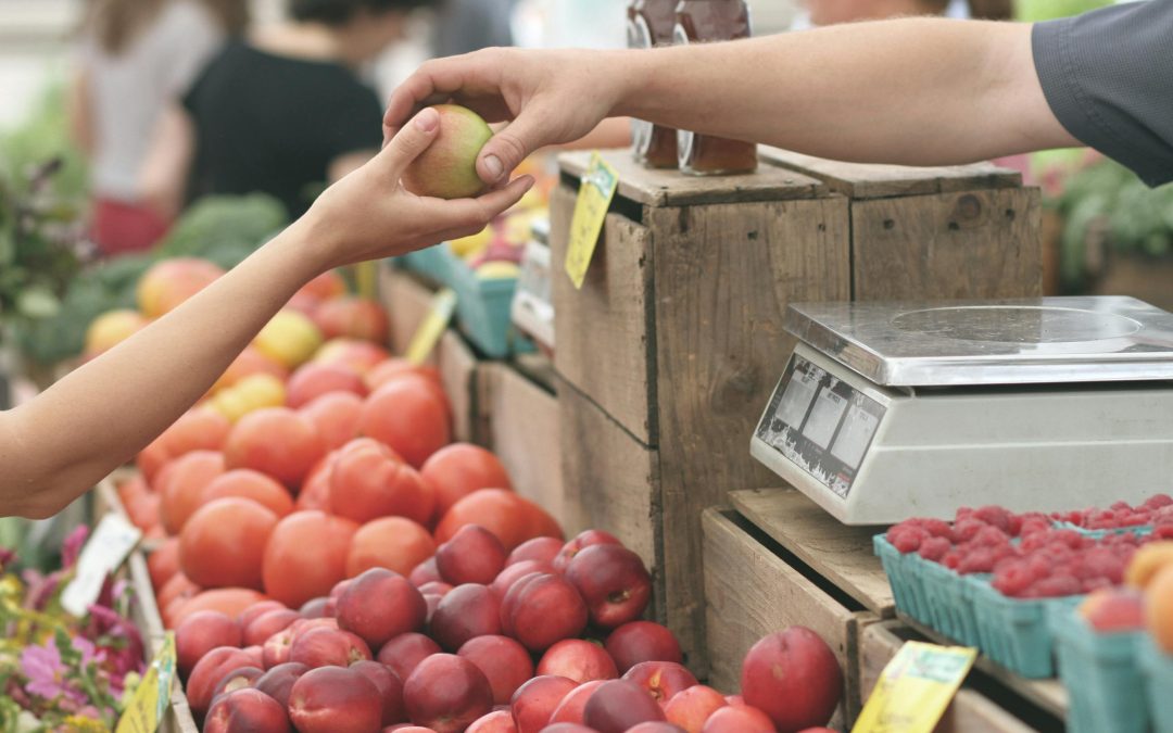 Exploring the Buzzing Daytona Beach Farmers Markets: A Guide to Fresh Finds